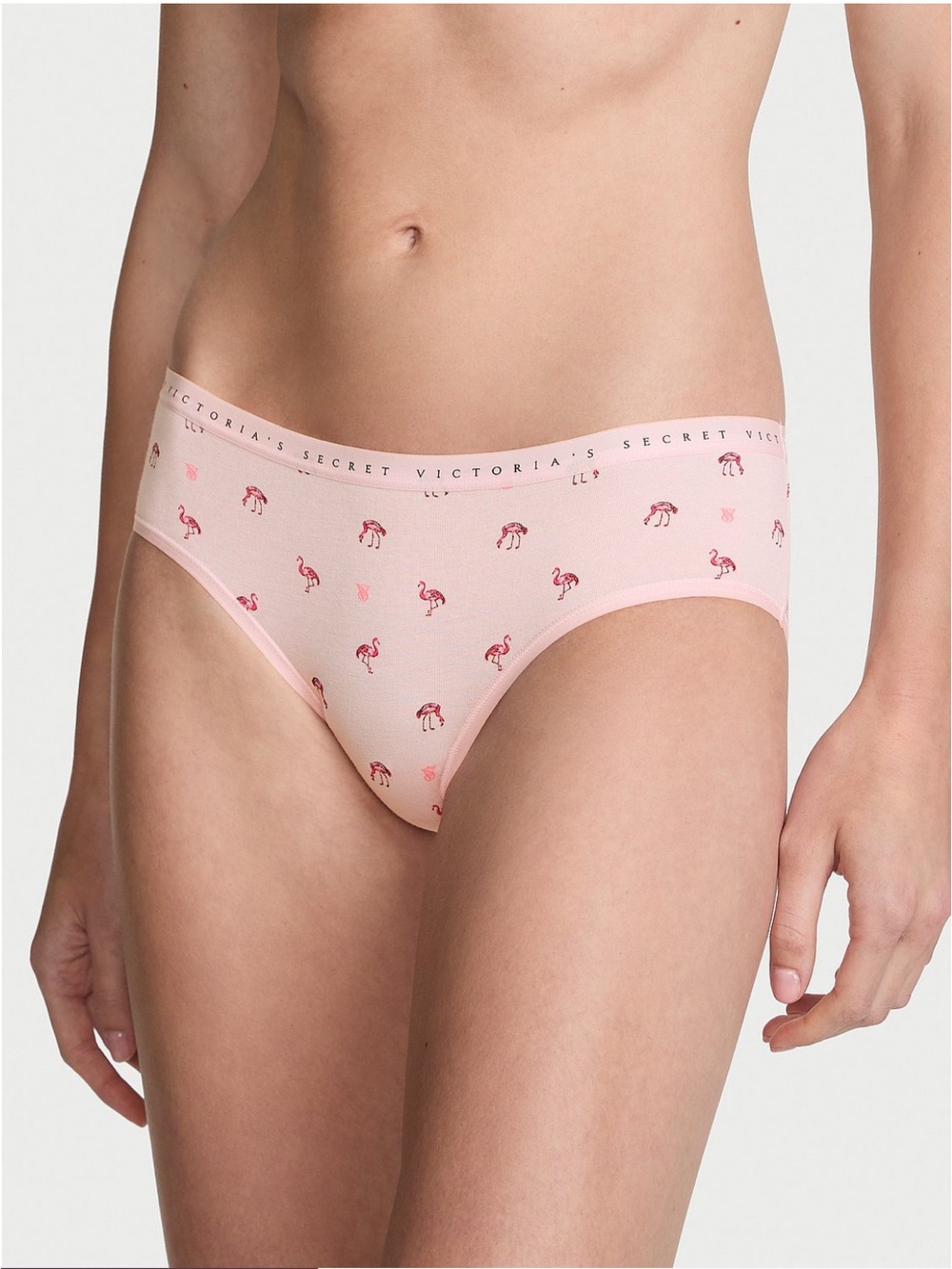 NWT Victoria's Secret Stretch Cotton Hiphugger Panty.